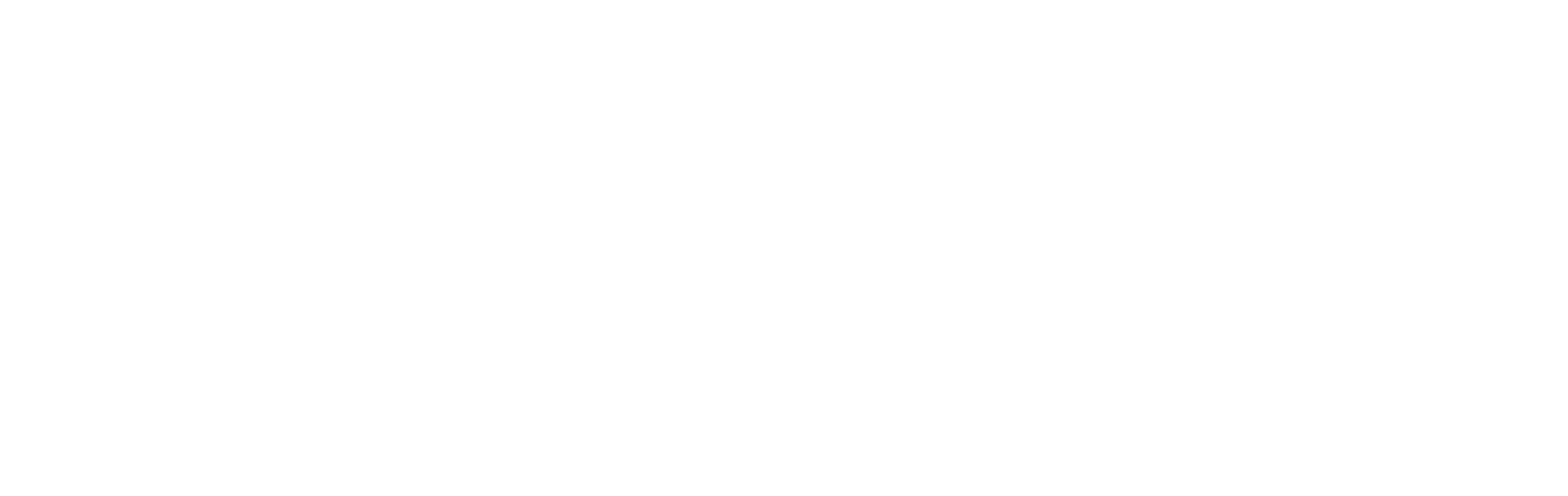 Nano Diji Card